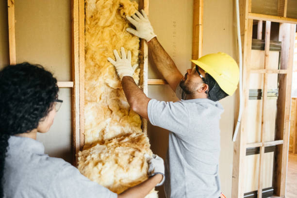 Best Insulation for New Construction  in San Pablo, NM